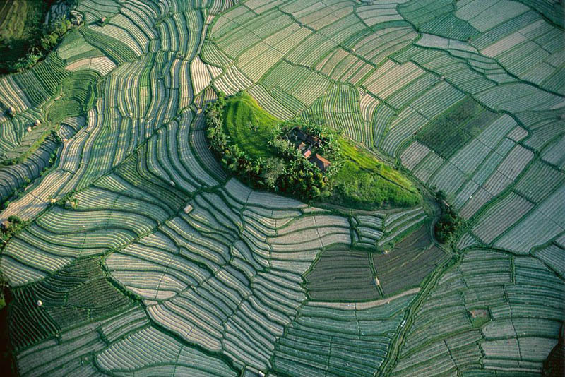 islet in the terraced rice fields of bali indonesia
