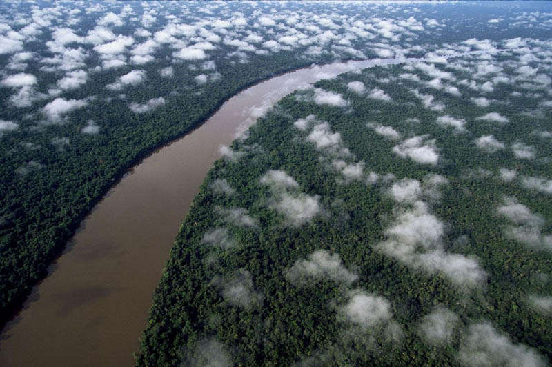 the orinoco river near the esmeralda amazon rain forest amazonas region venezuela